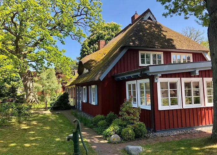 Ellas Kate Schwalbennest * 프레로